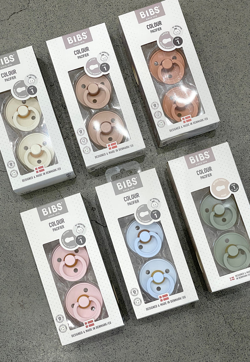 bibs colour pacifier 2 pack GOOSE