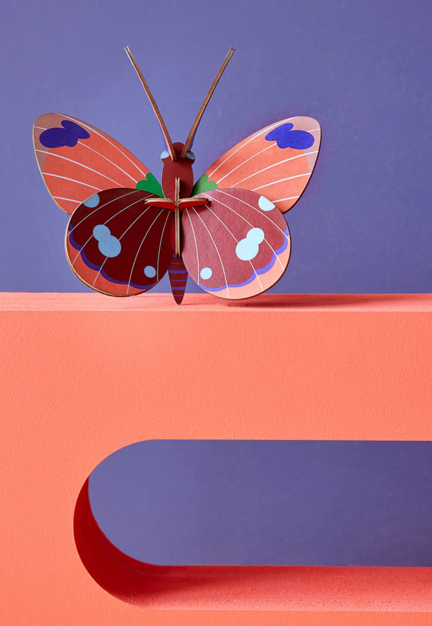 studio roof - wall art - delias butterfly