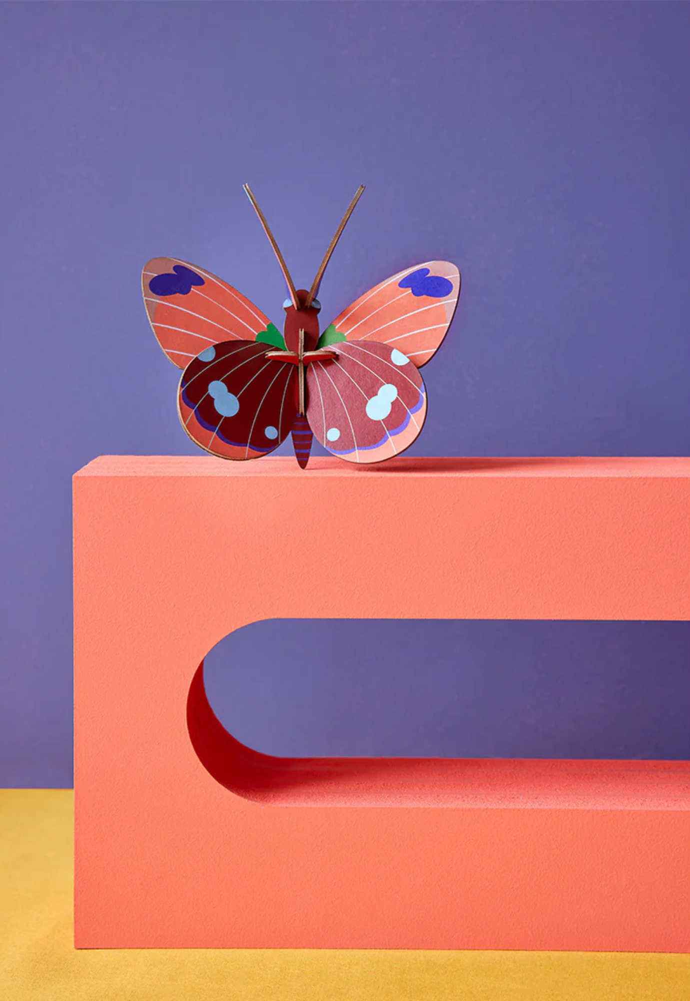 studio roof - wall art - delias butterfly