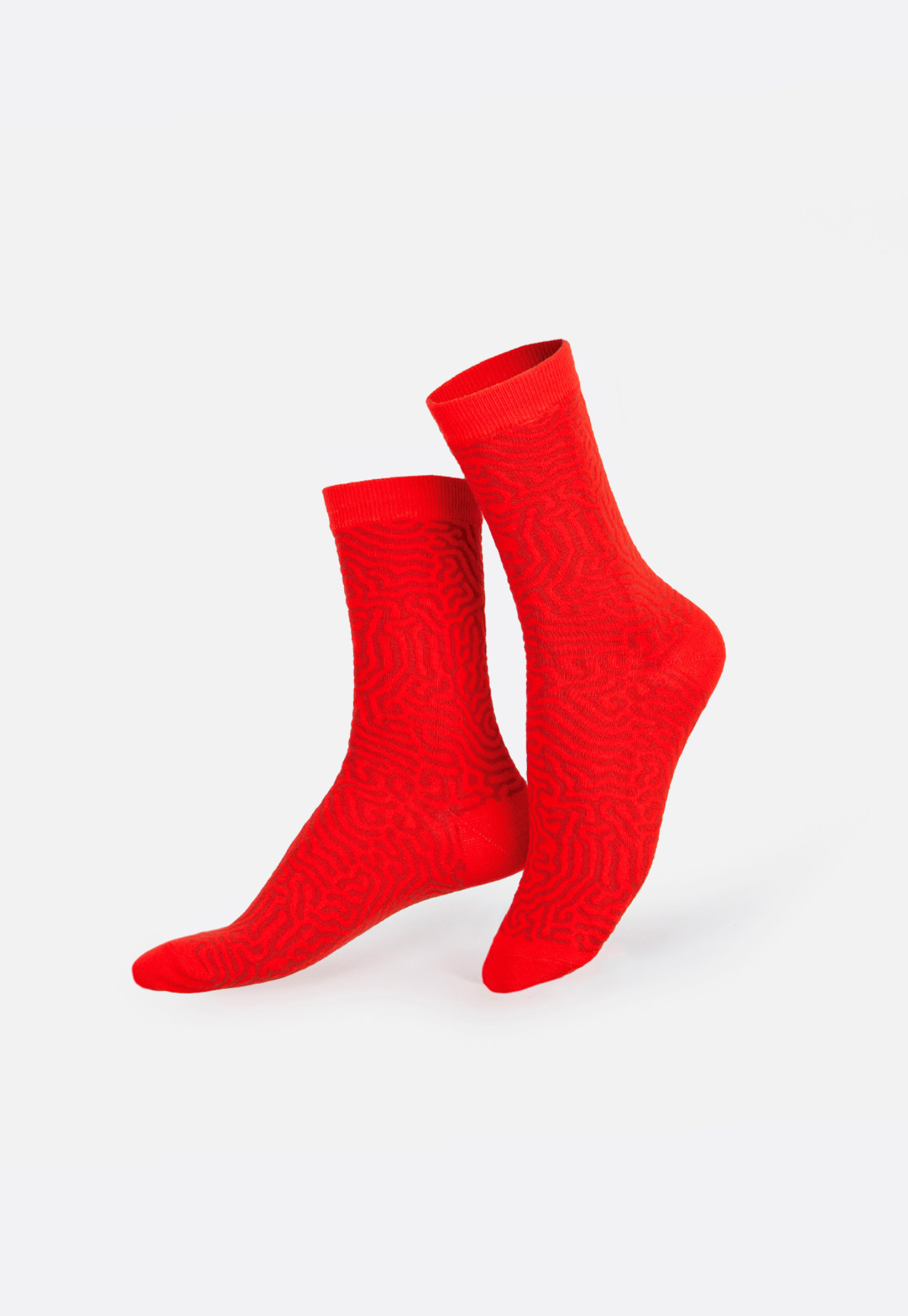 eat my socks - hot chorizo