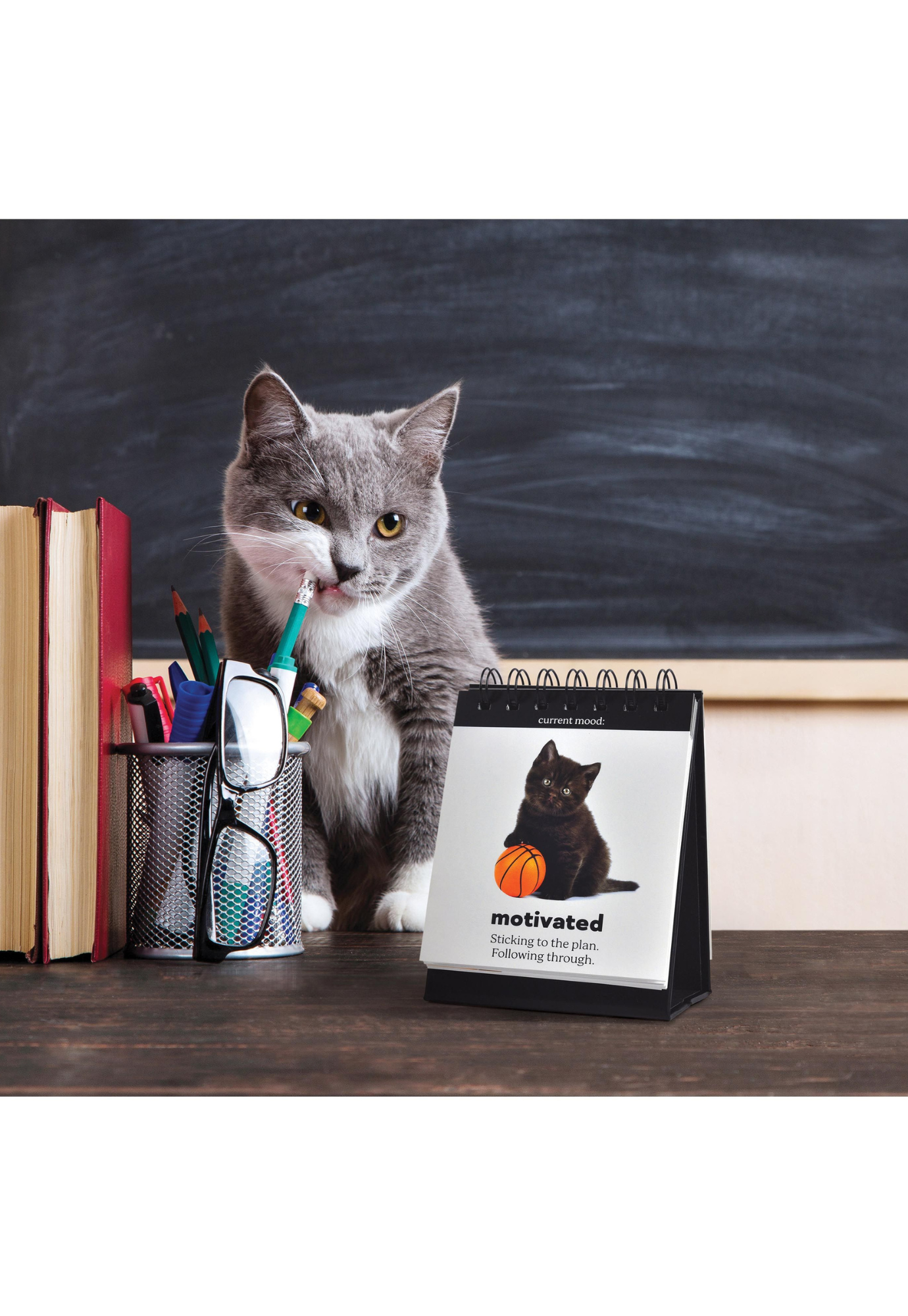 fred - daily cattitudes - desktop flip book