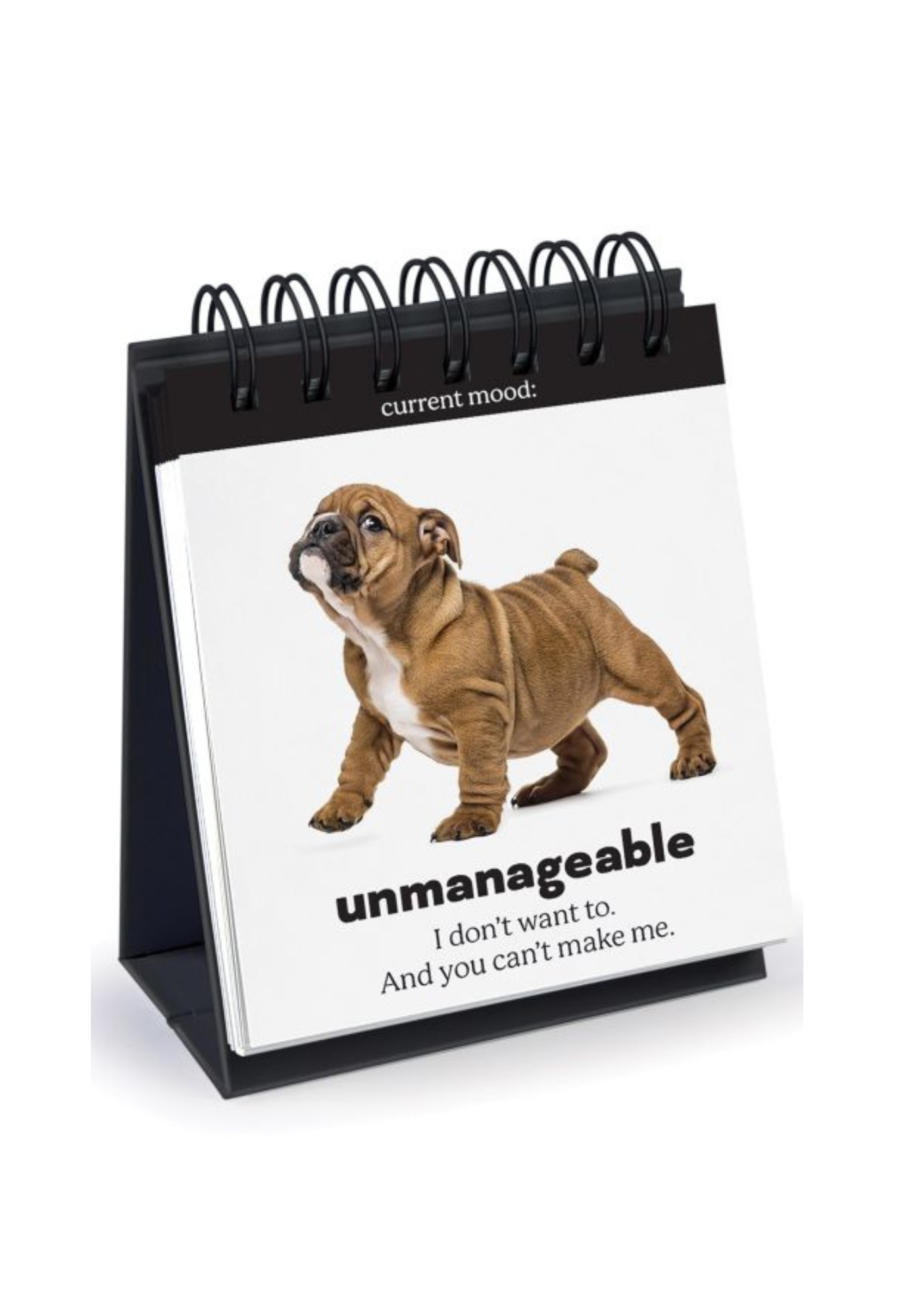 fred - daily doggo - desktop flip book