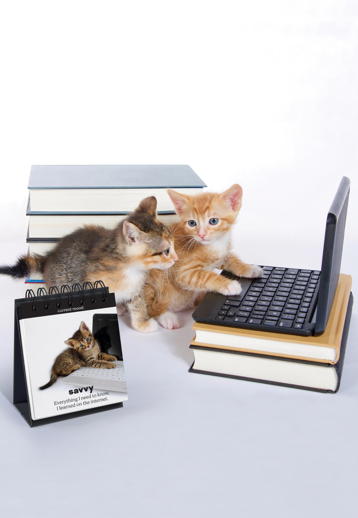 fred - daily cattitudes - desktop flip book