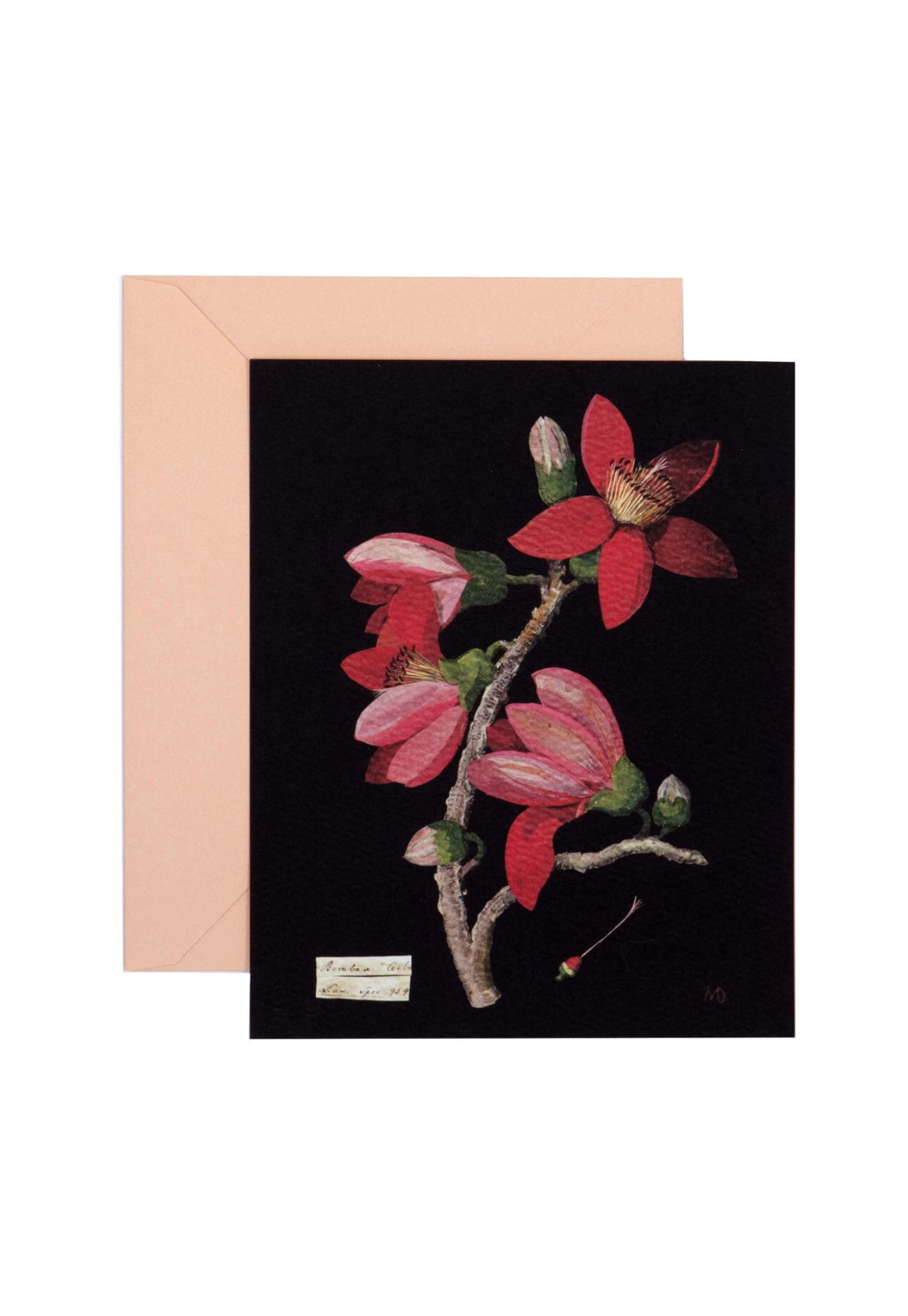 paper flowers - 12 flat cards & envelopes
