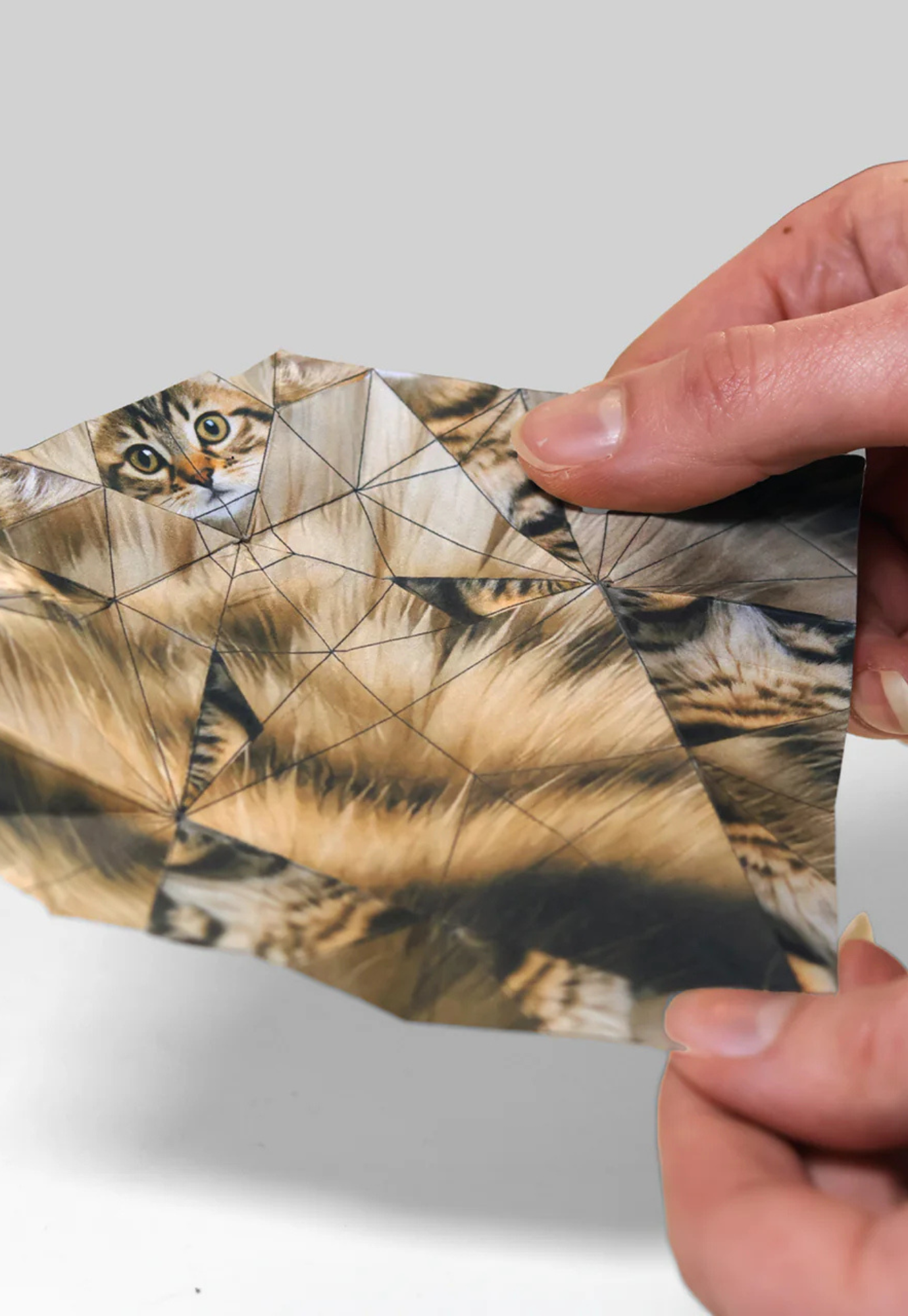 flat lay of paper cats origami cat craft kit contents showing pre-printed cat sheets 