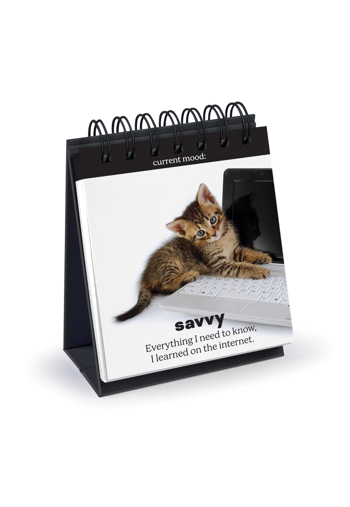 fred - daily cattitudes - desktop flip book