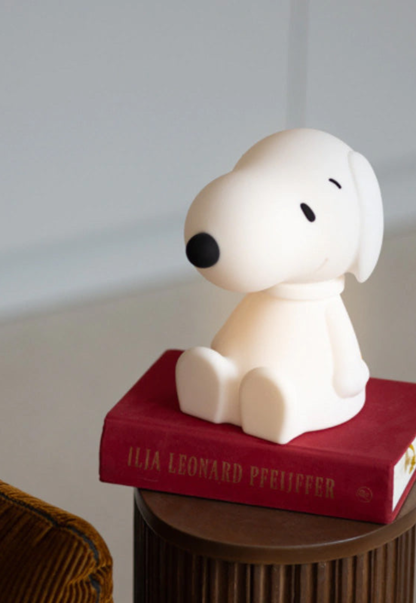 snoopy bundle of light