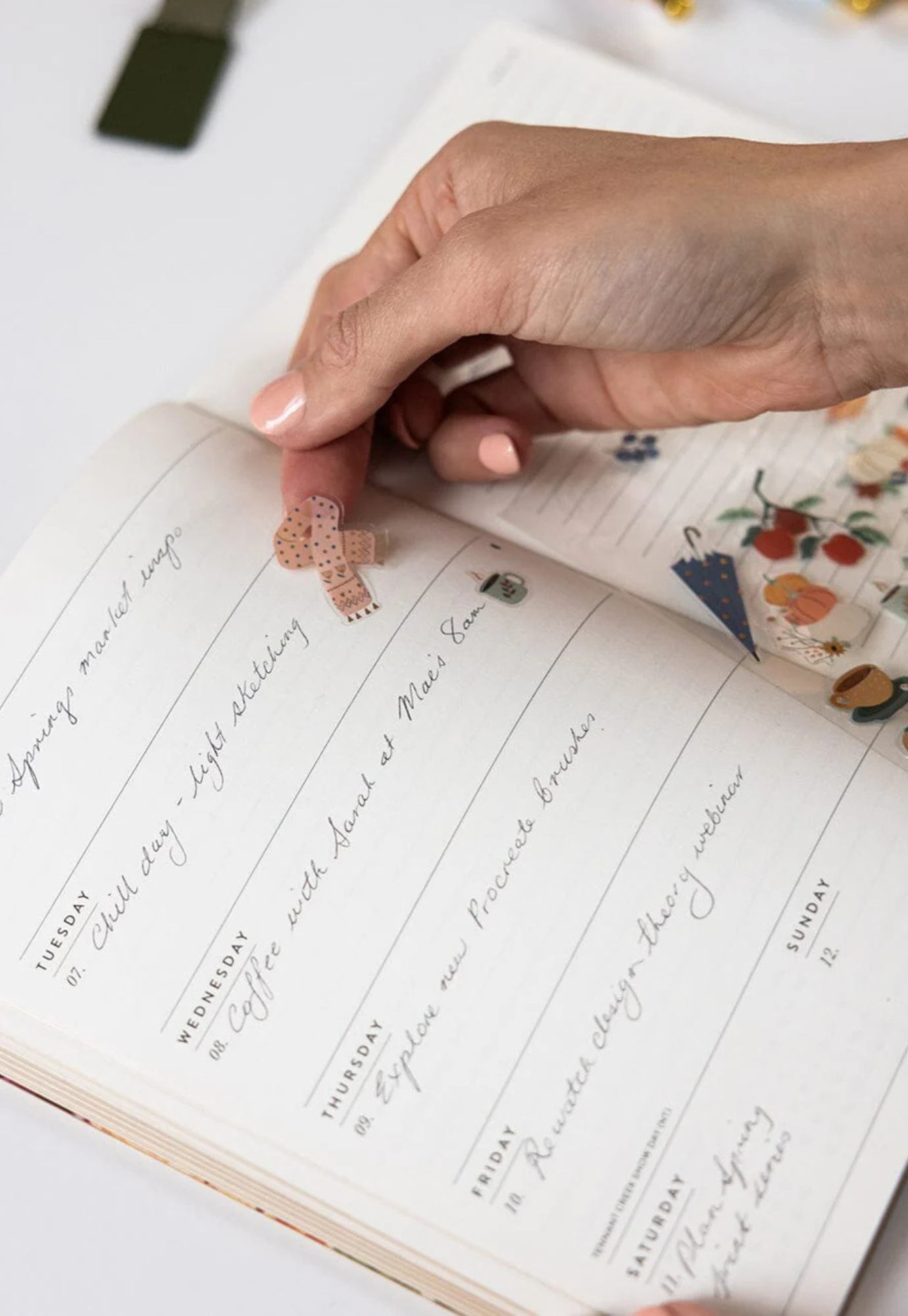 bespoke letterpress - 2026 planner notebook - fairy wren