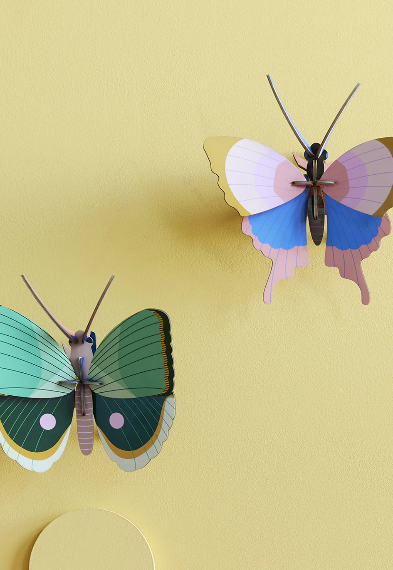 studio roof - wall art - gold rim butterfly