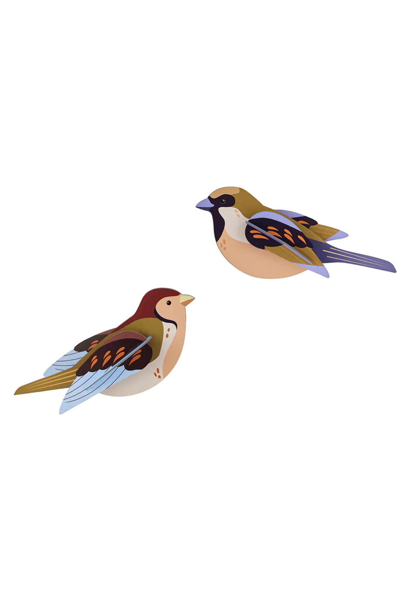 studio roof - wall art - sparrows