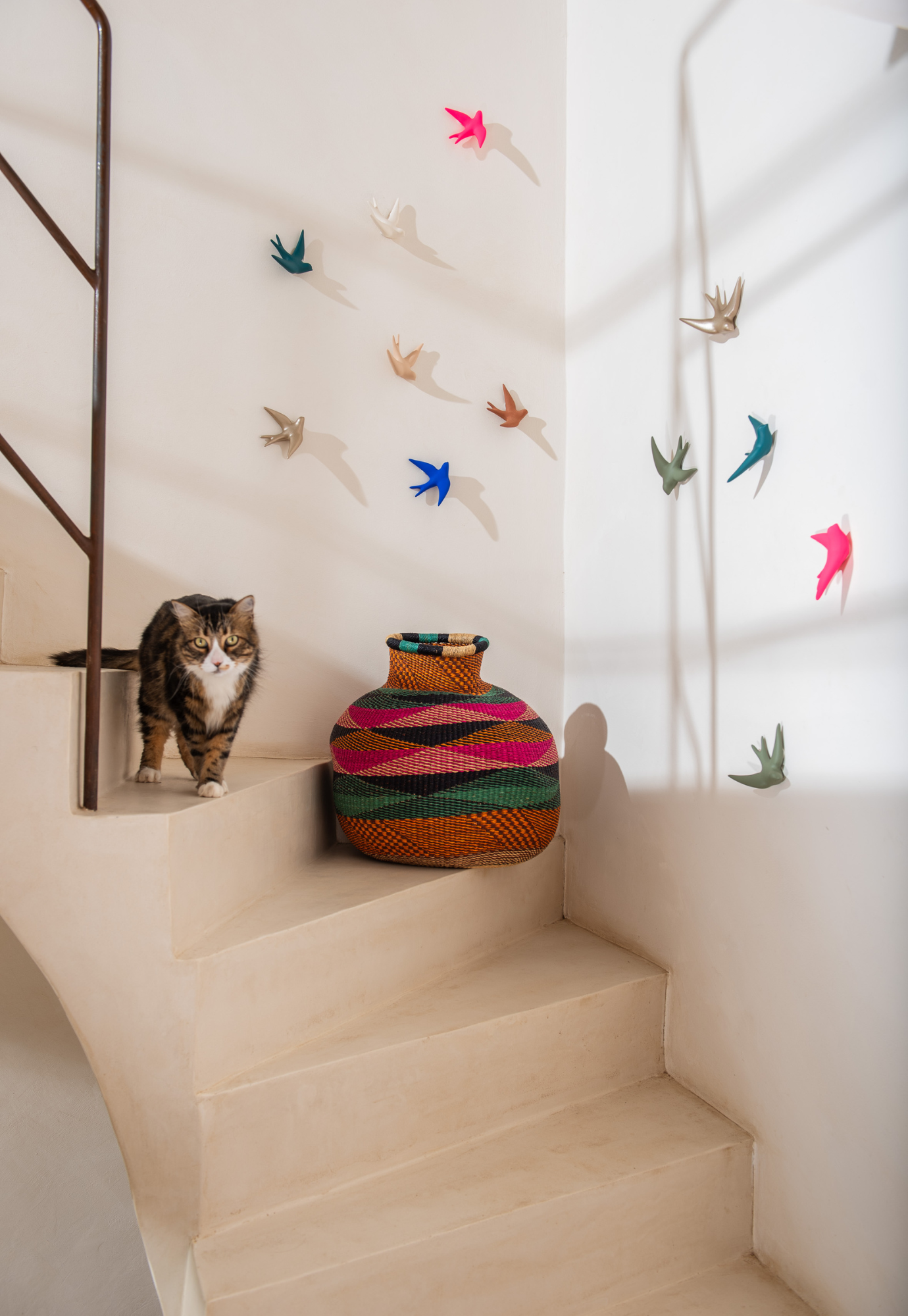 swallow wall décor vert provence hanging on wall in entryway with natural light 