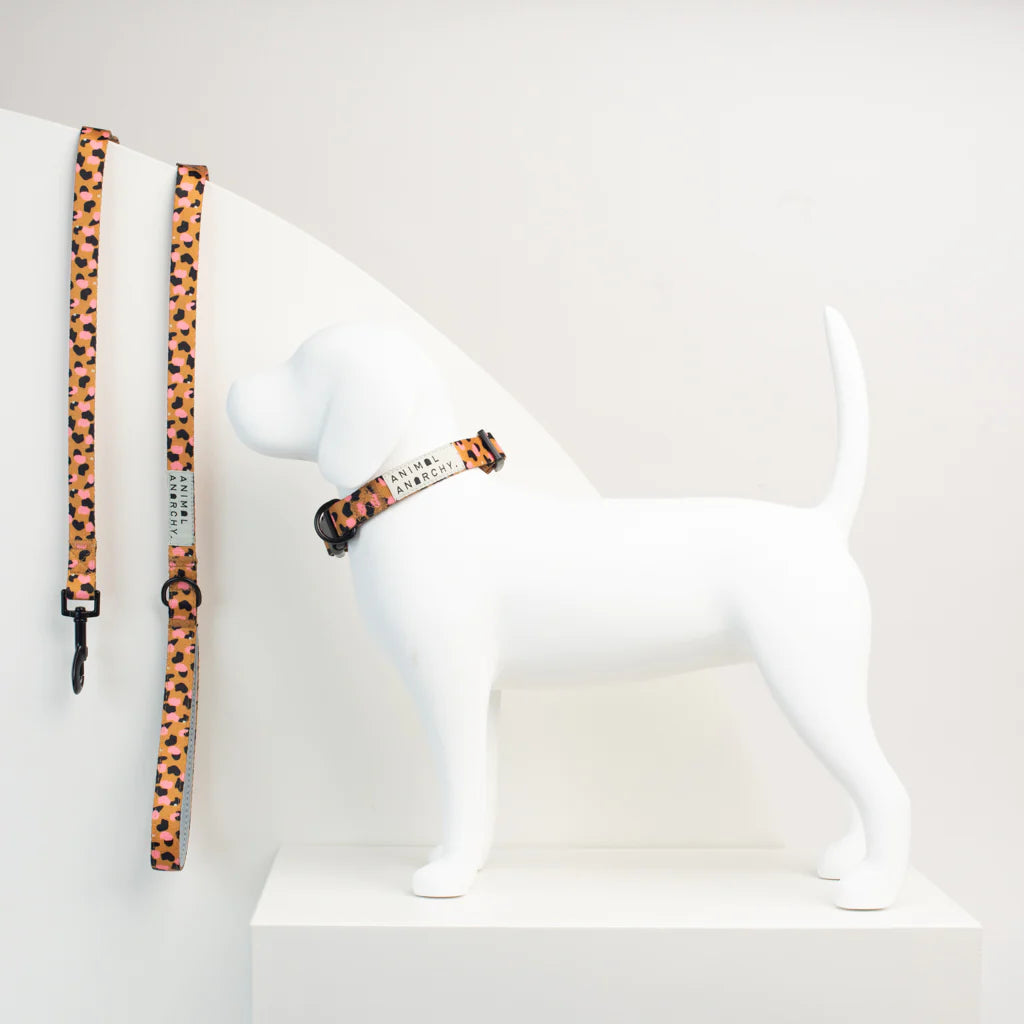 animal anarchy - dog collars