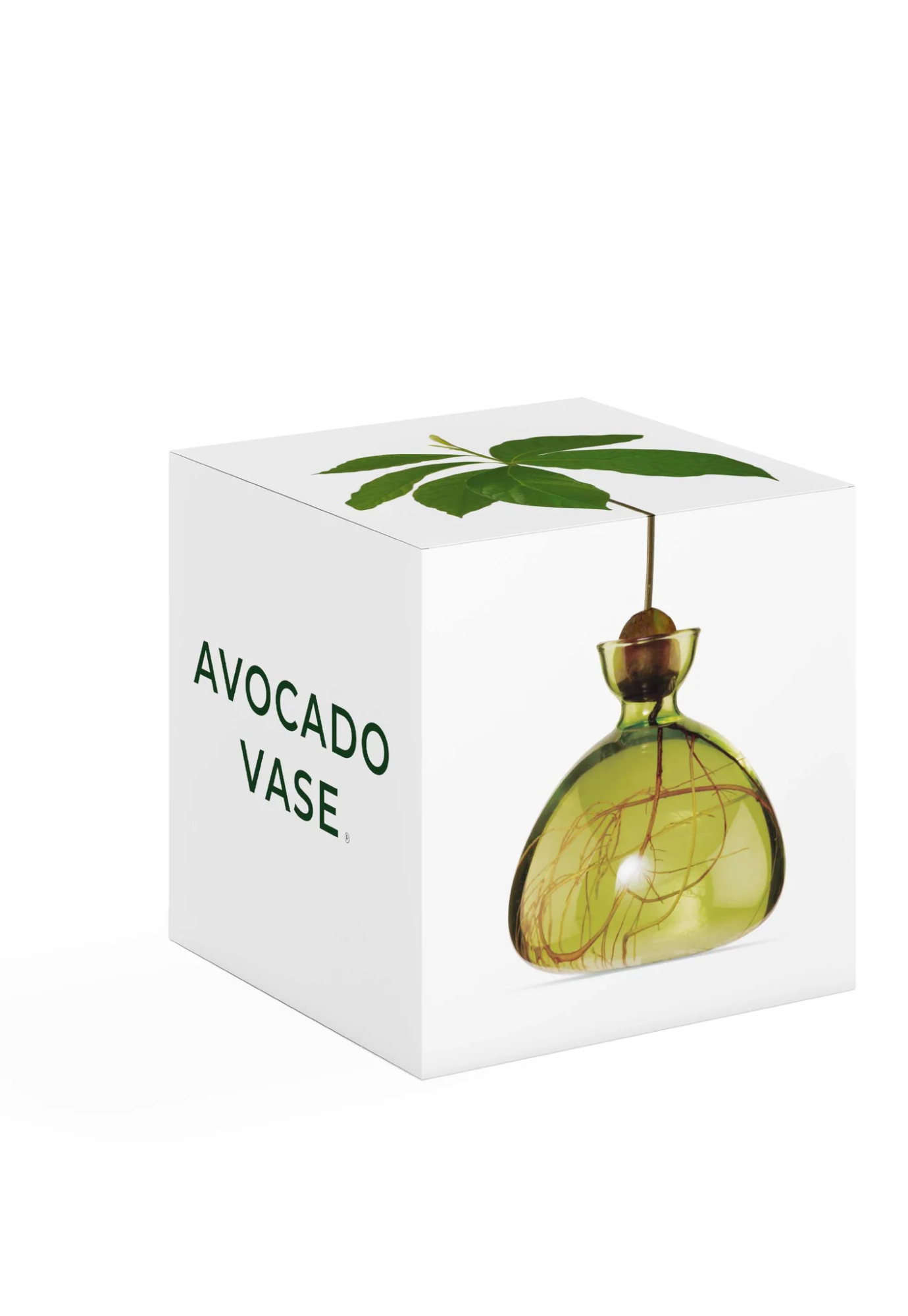 ilex studio - avocado vase - grass green