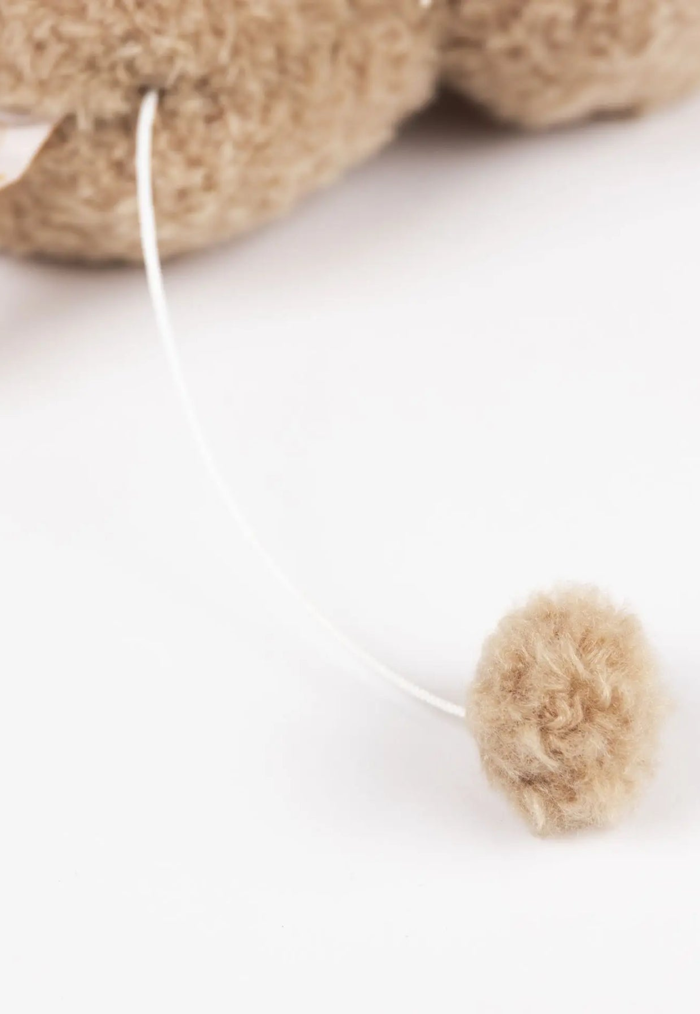 close up of morris musical bear showing music 