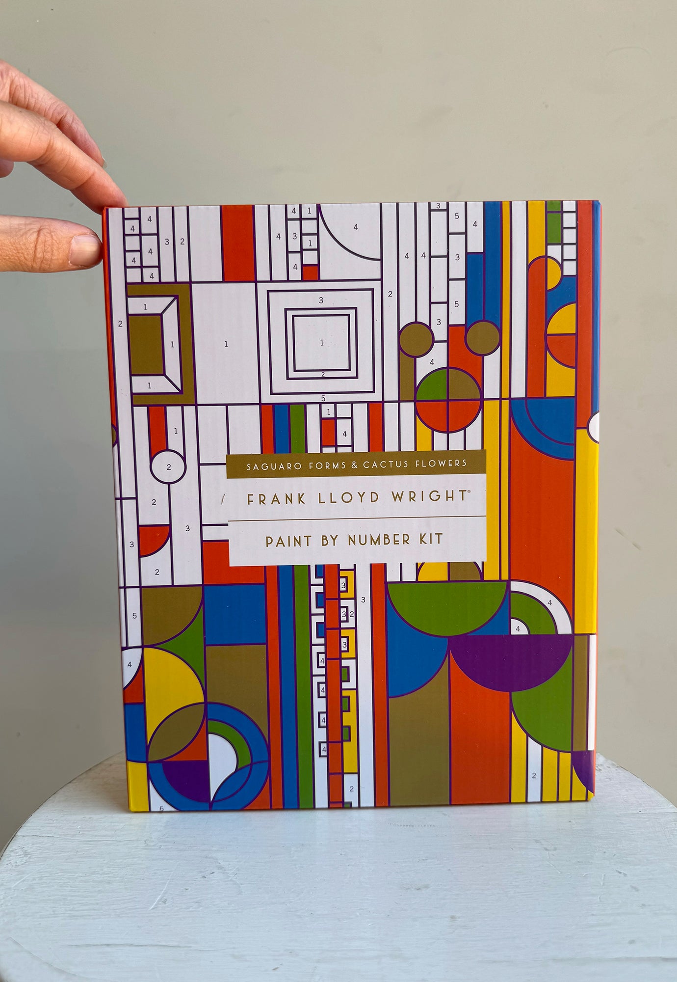 frank lloyd wright paint by number kit