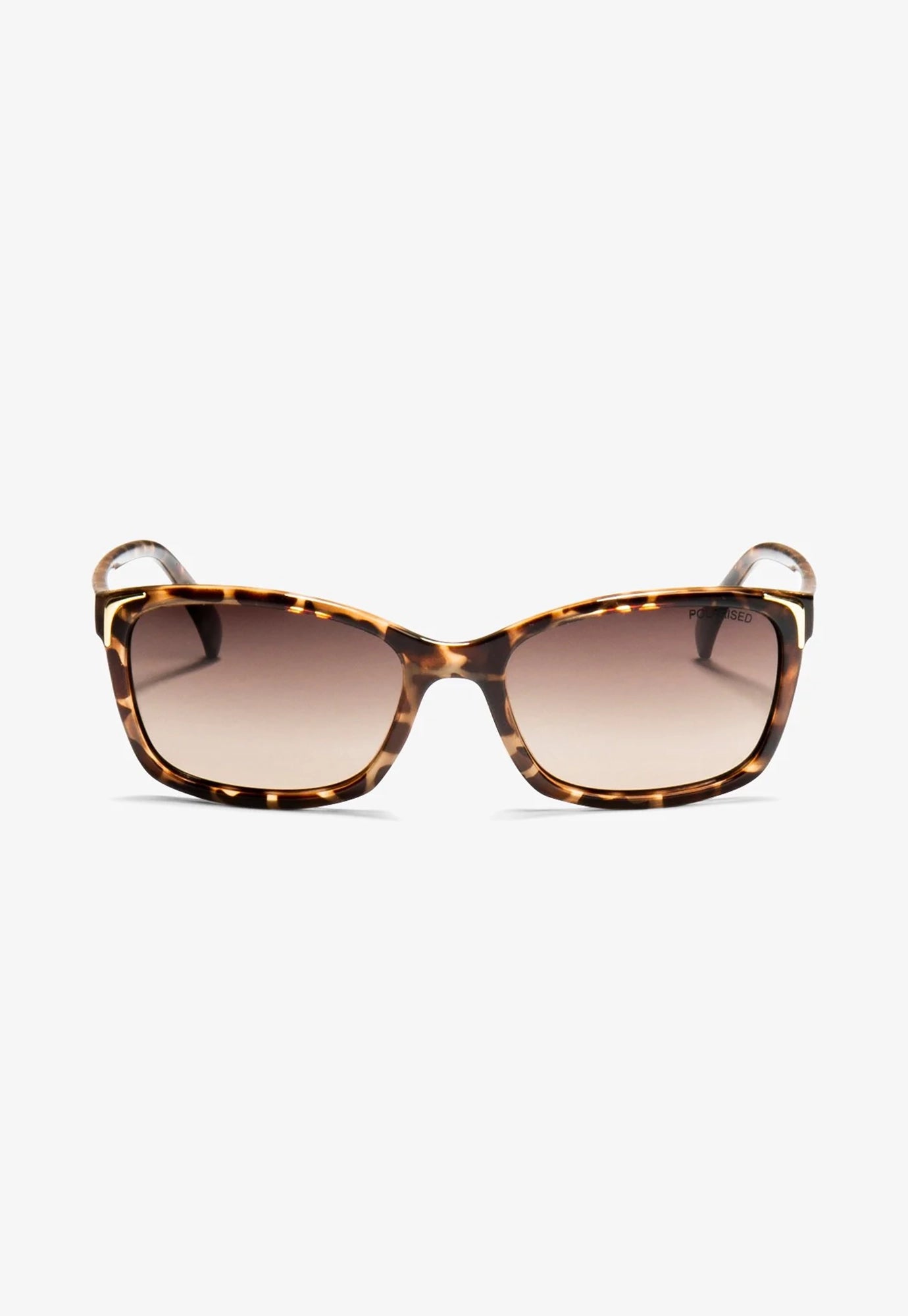 locello - little leticia - milky tortoiseshell
