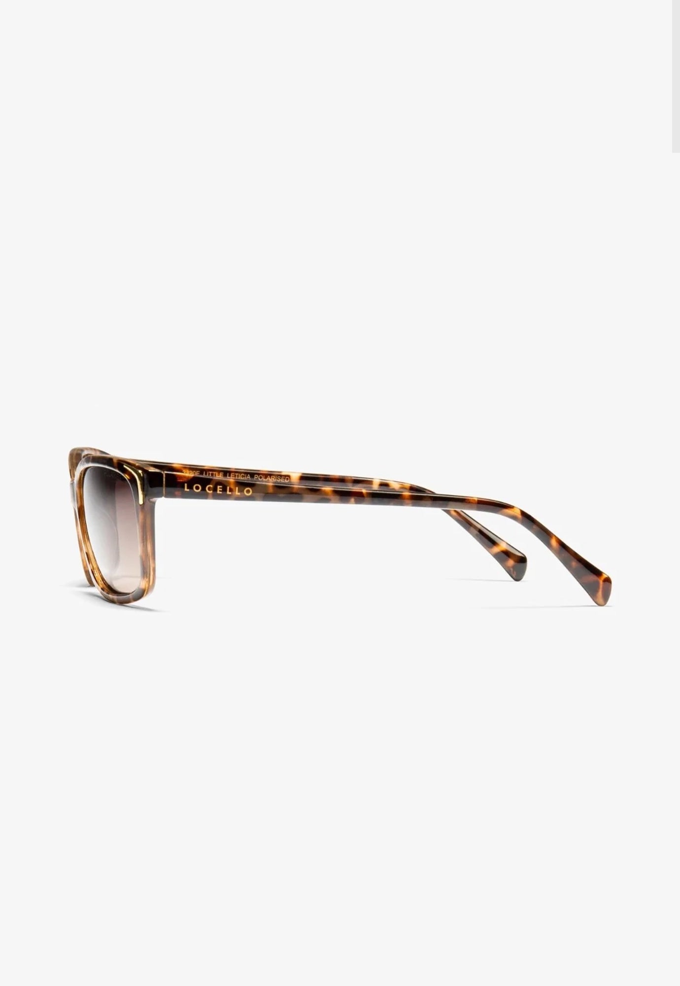 locello - little leticia - milky tortoiseshell