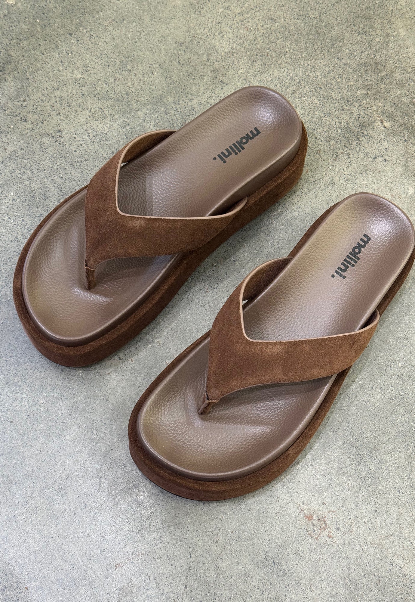 mollini - tamarah - choc suede
