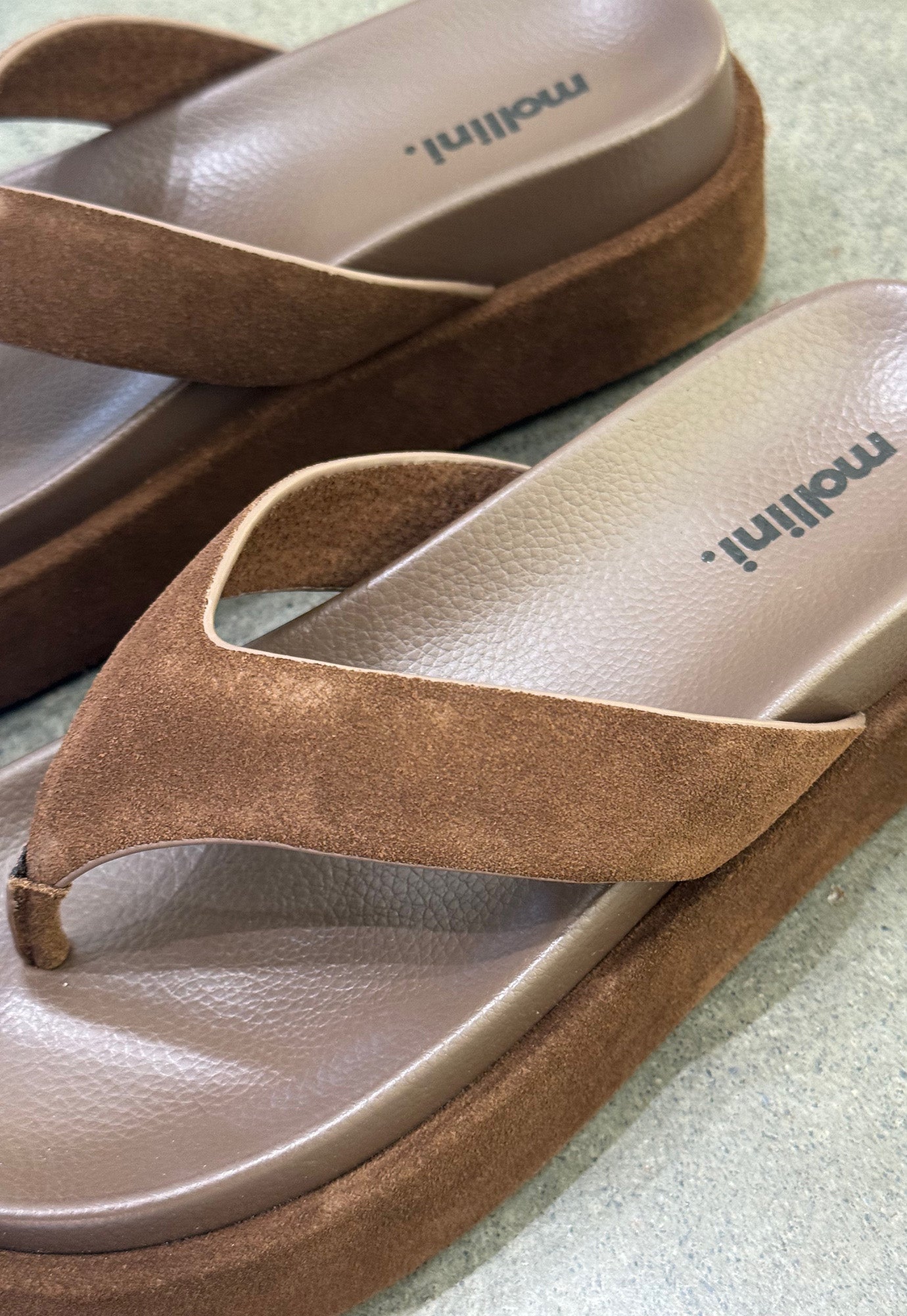 mollini - tamarah - choc suede