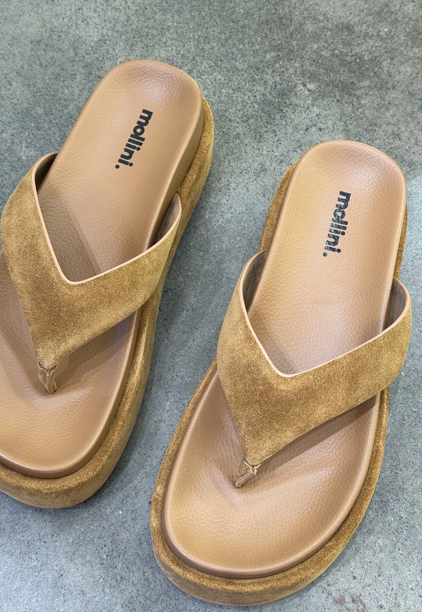 mollini - tamarah - fawn suede