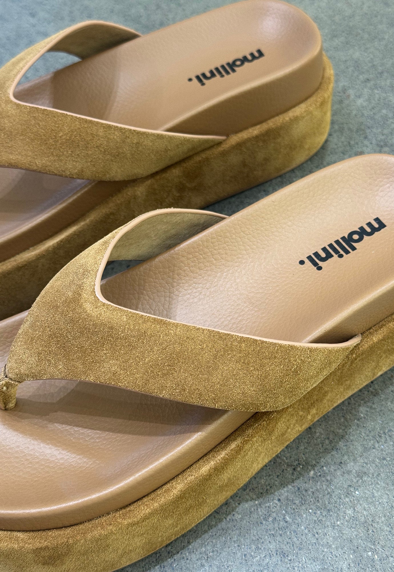 mollini - tamarah - fawn suede