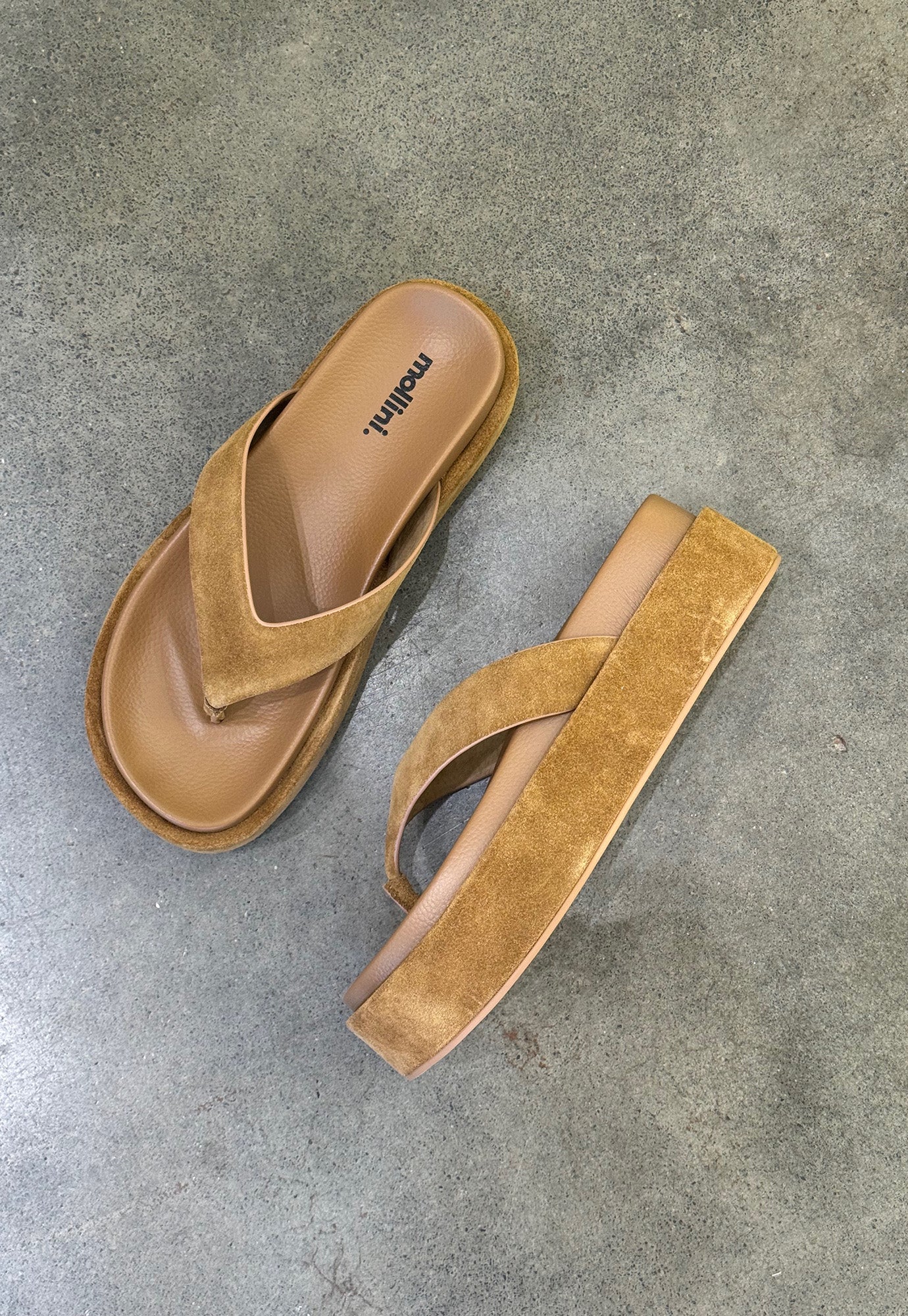 mollini - tamarah - fawn suede