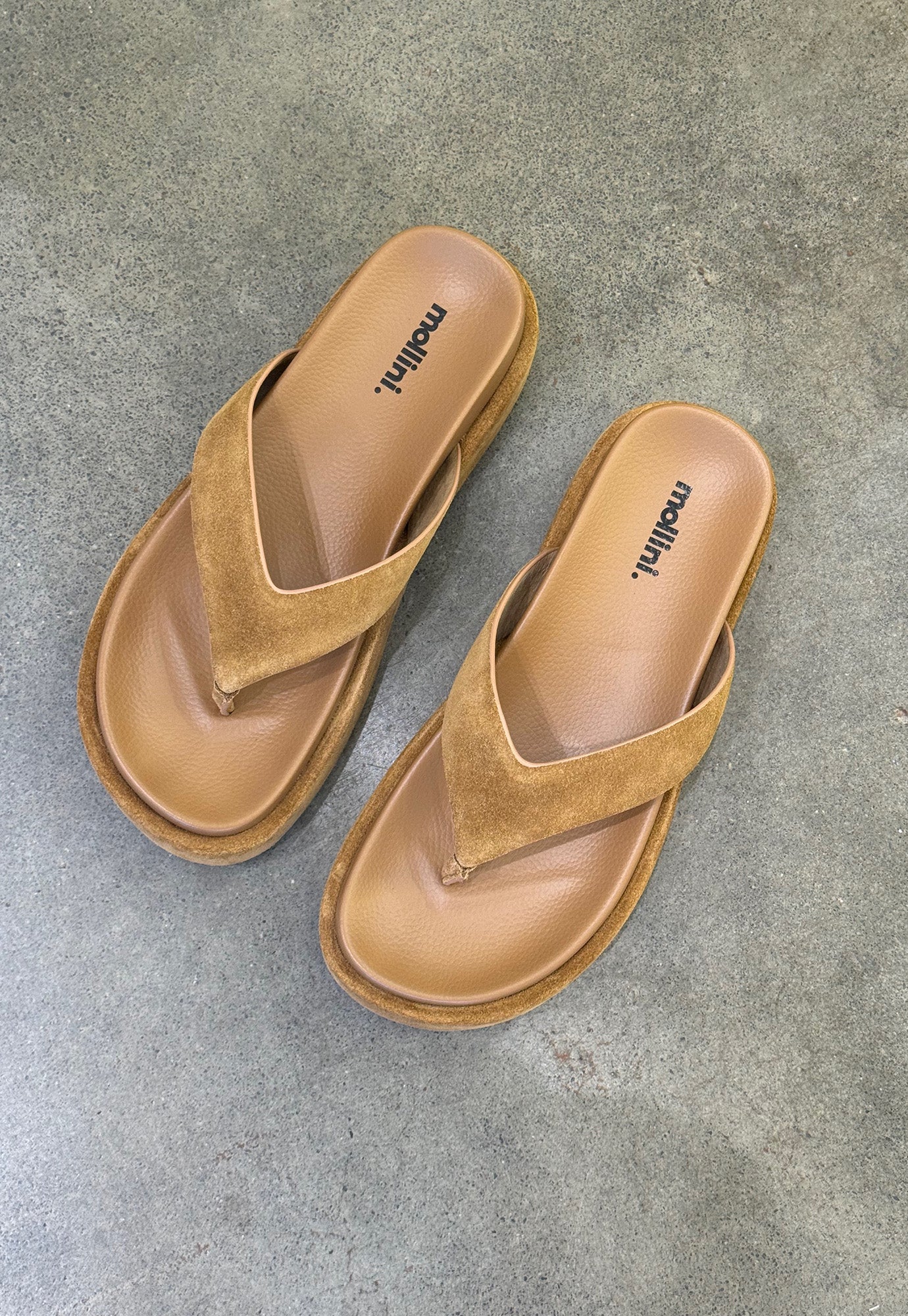 mollini - tamarah - fawn suede