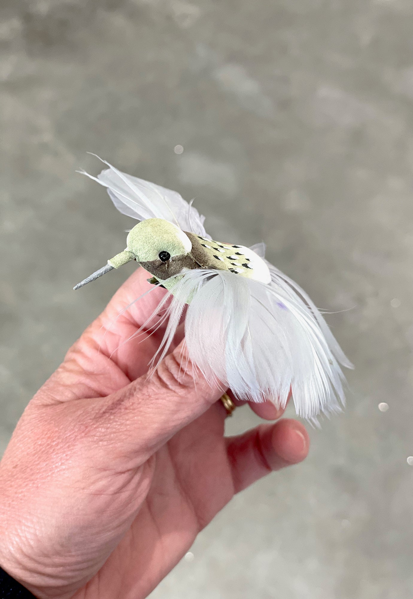 pastel clip-on hummingbird - set of 2