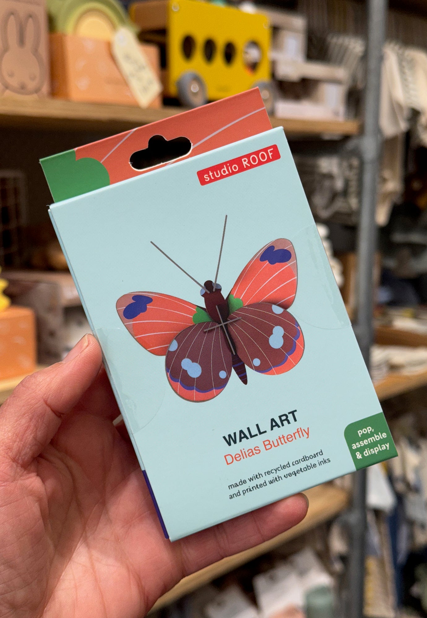 studio roof - wall art - delias butterfly