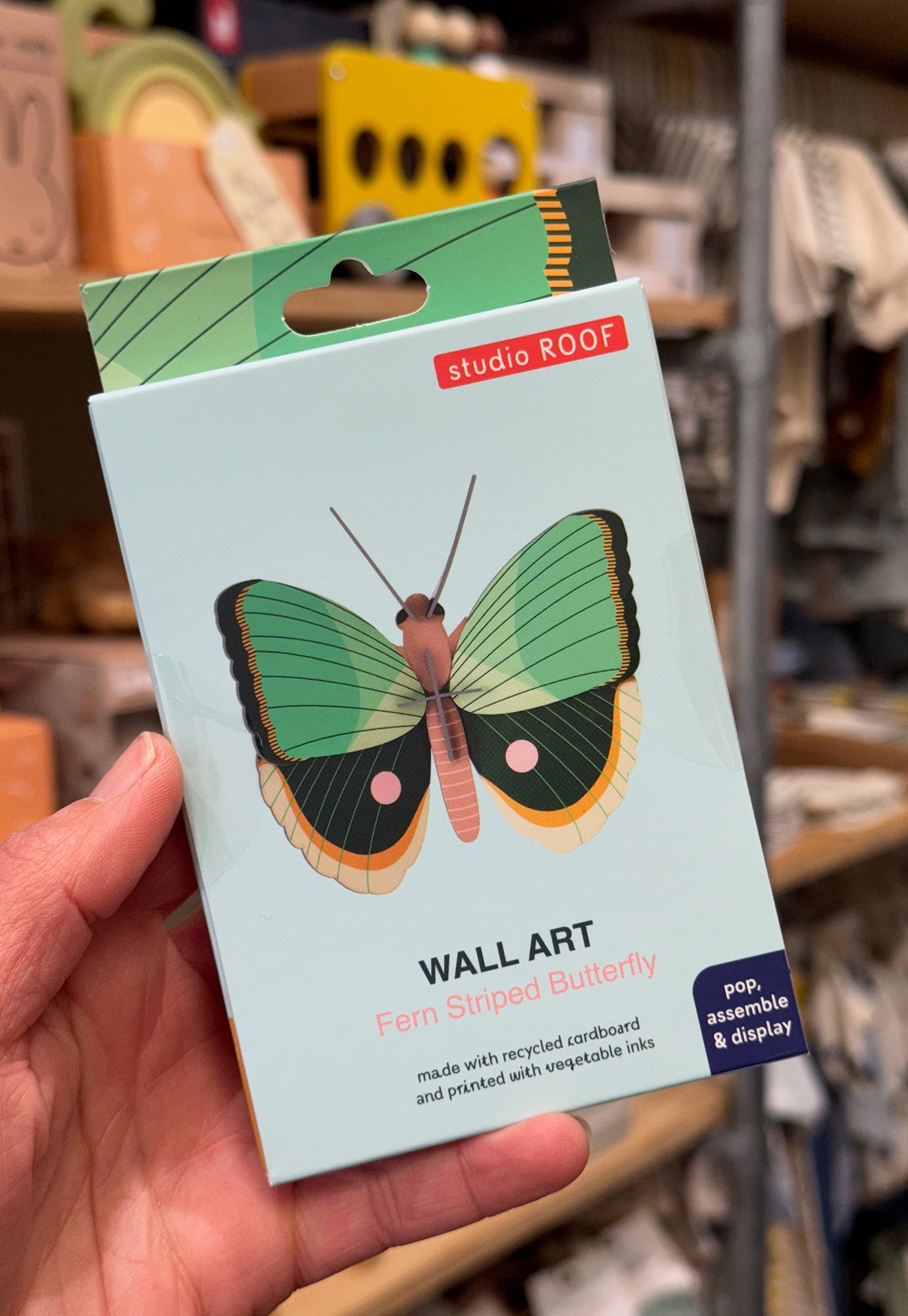 studio roof - wall art - fern striped butterfly