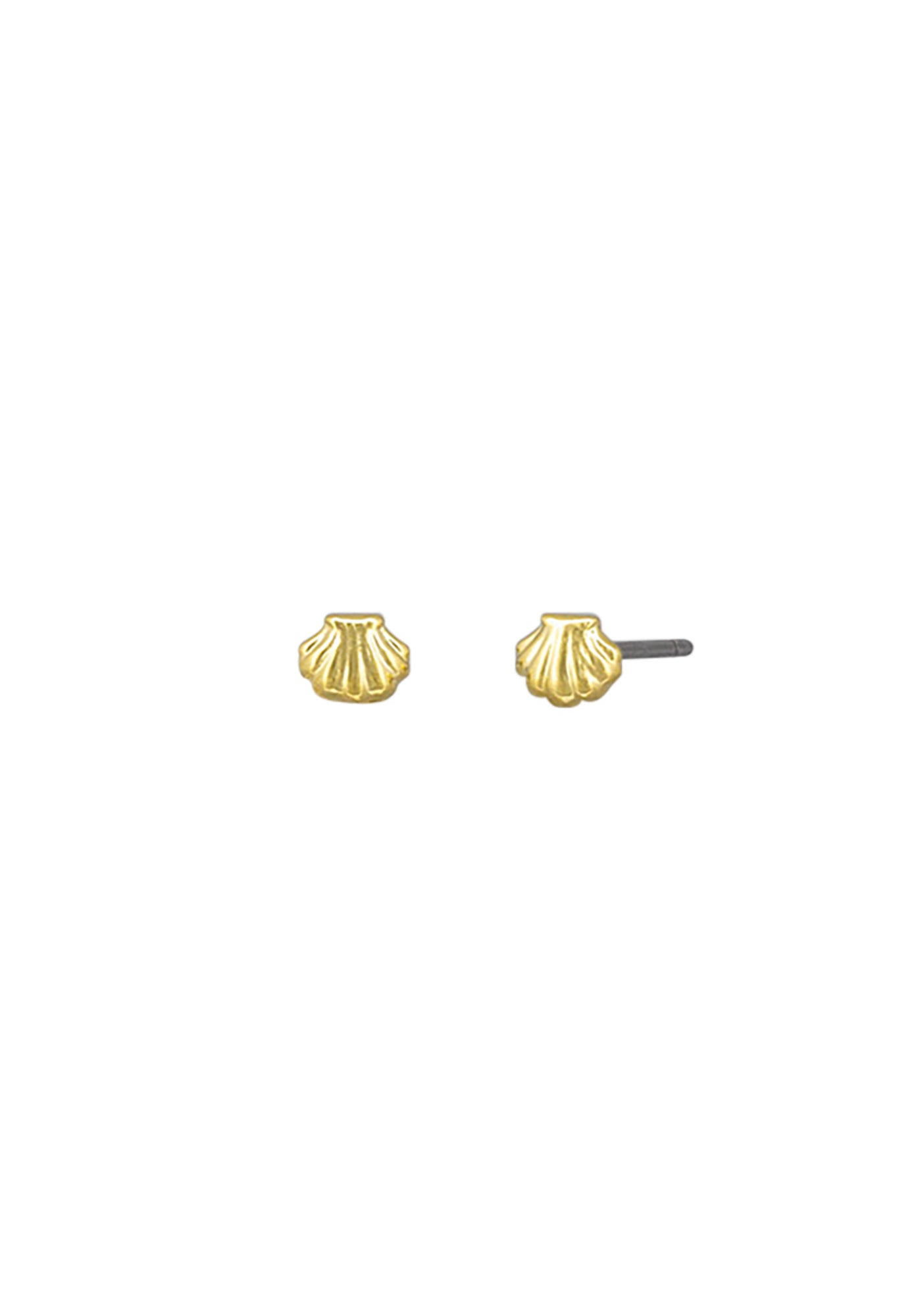 tiger tree - baby scallop studs