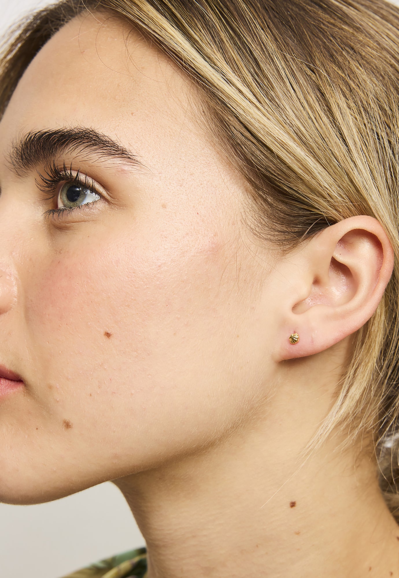 tiger tree - baby scallop studs