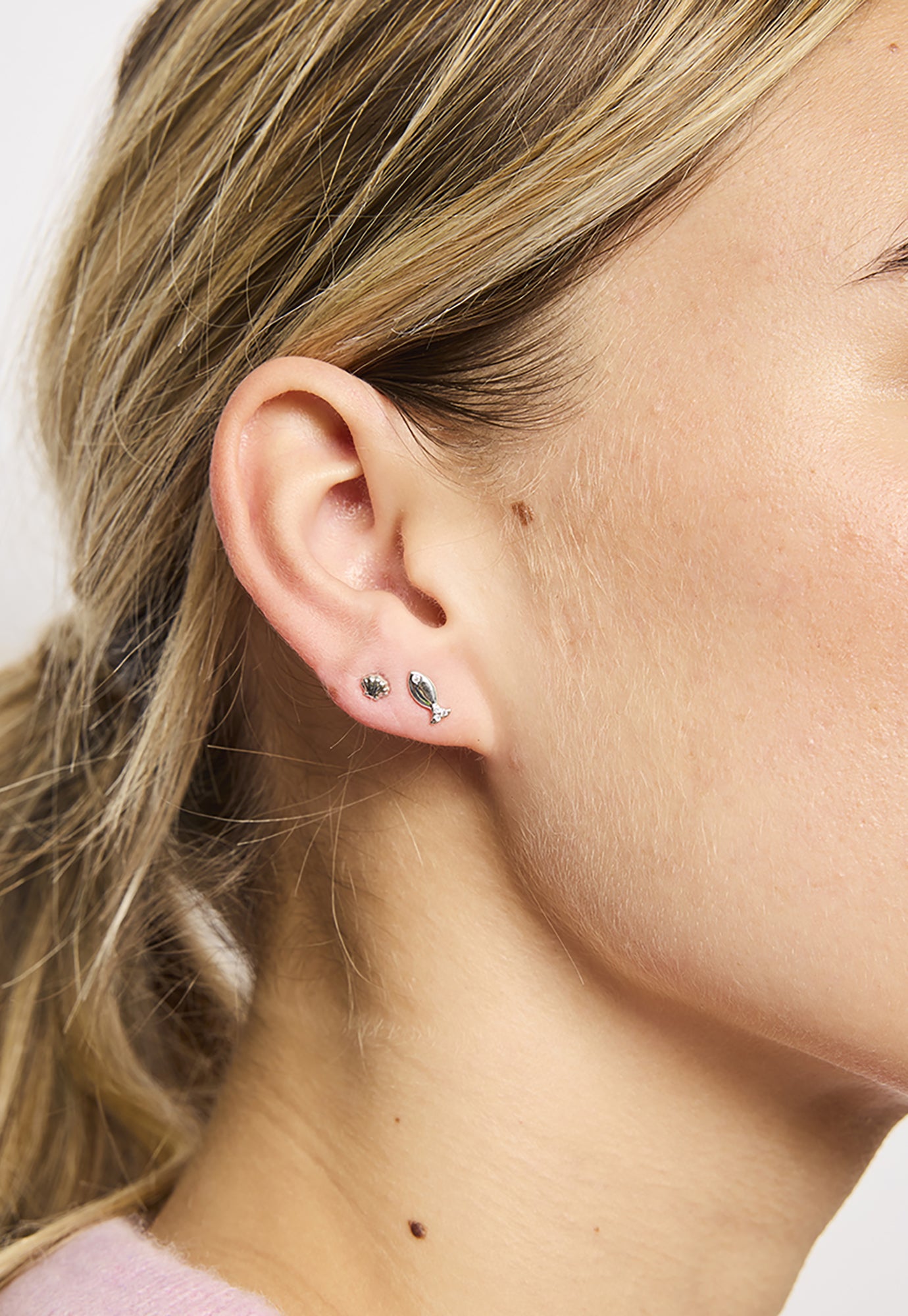 tiger tree - baby scallop studs