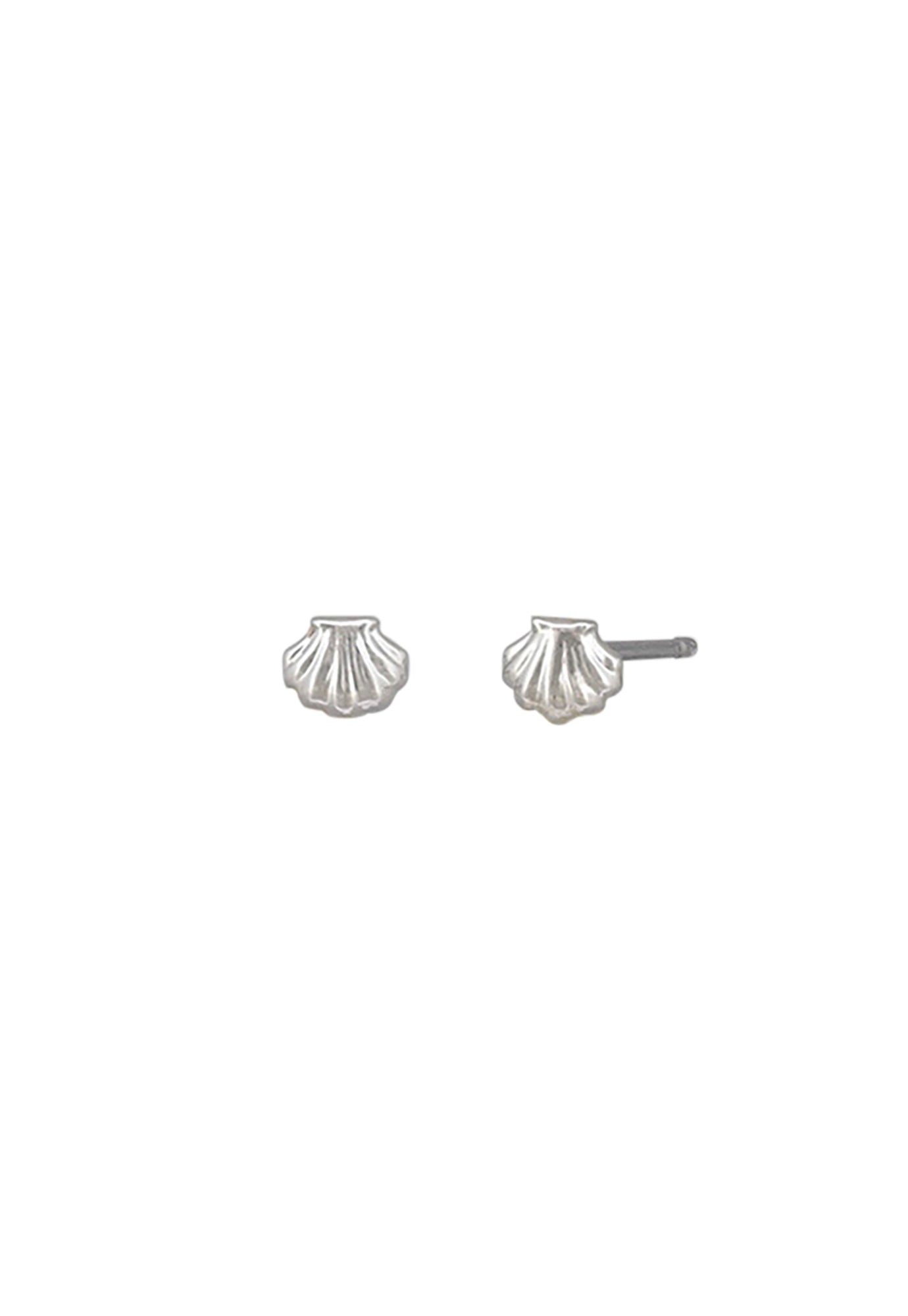 tiger tree - baby scallop studs