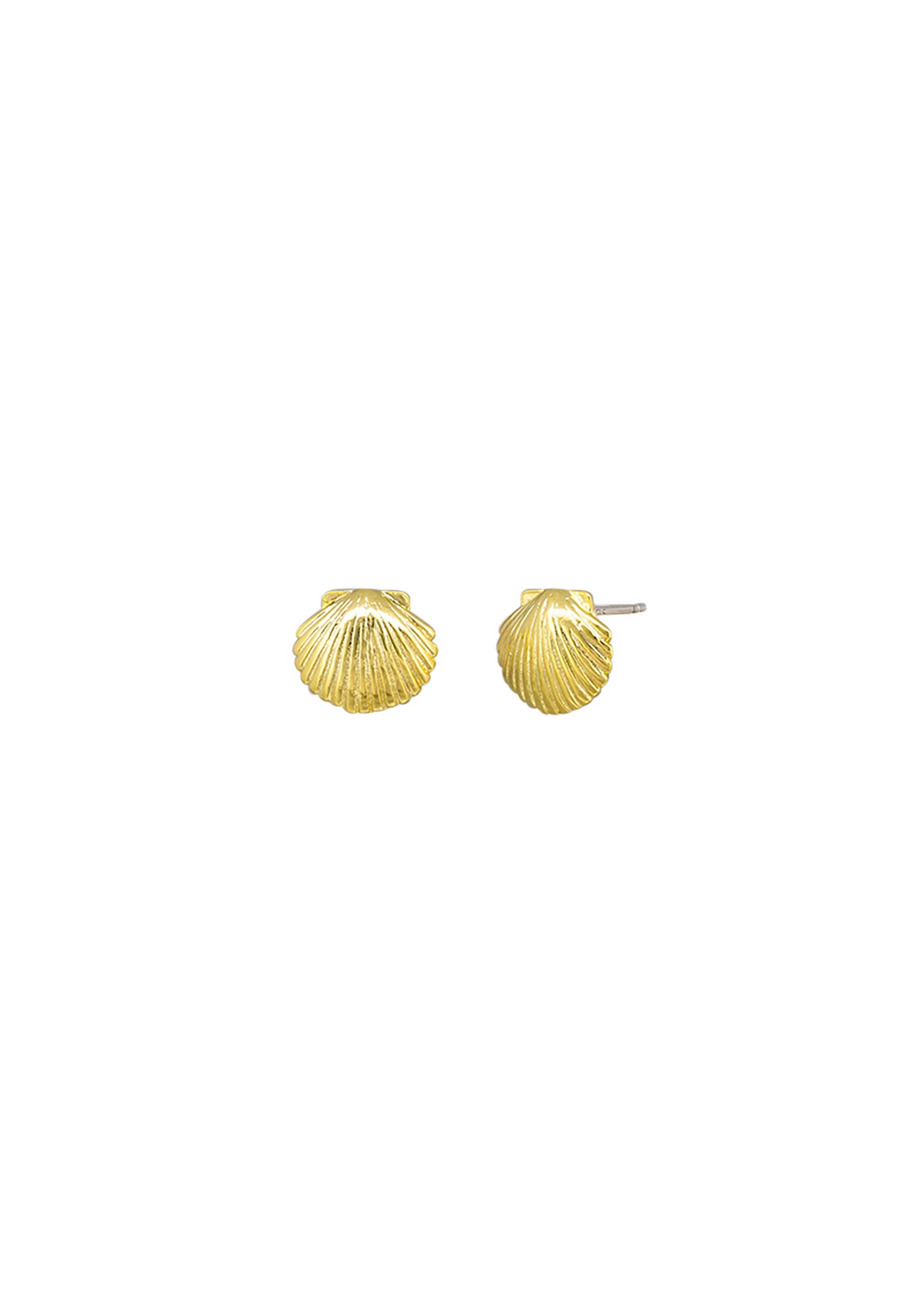 tiger tree - sea scallop studs