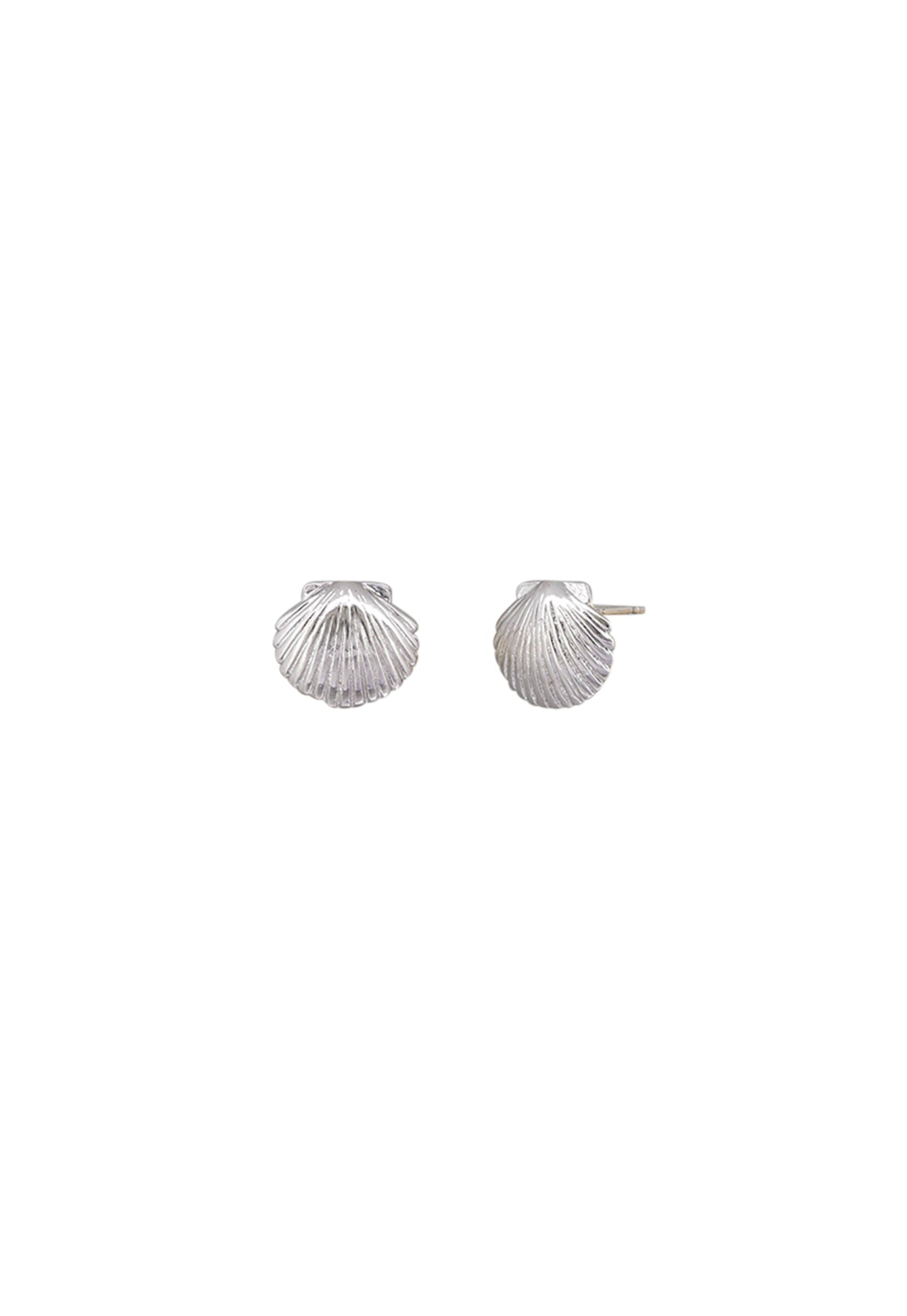 tiger tree - sea scallop studs