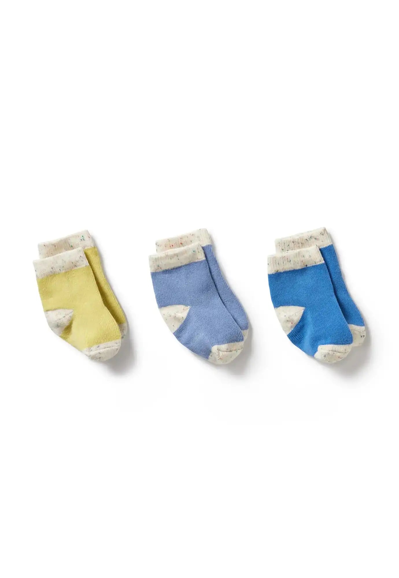 wilson & frenchy - organic 3 pack socks - endive bluebell blue