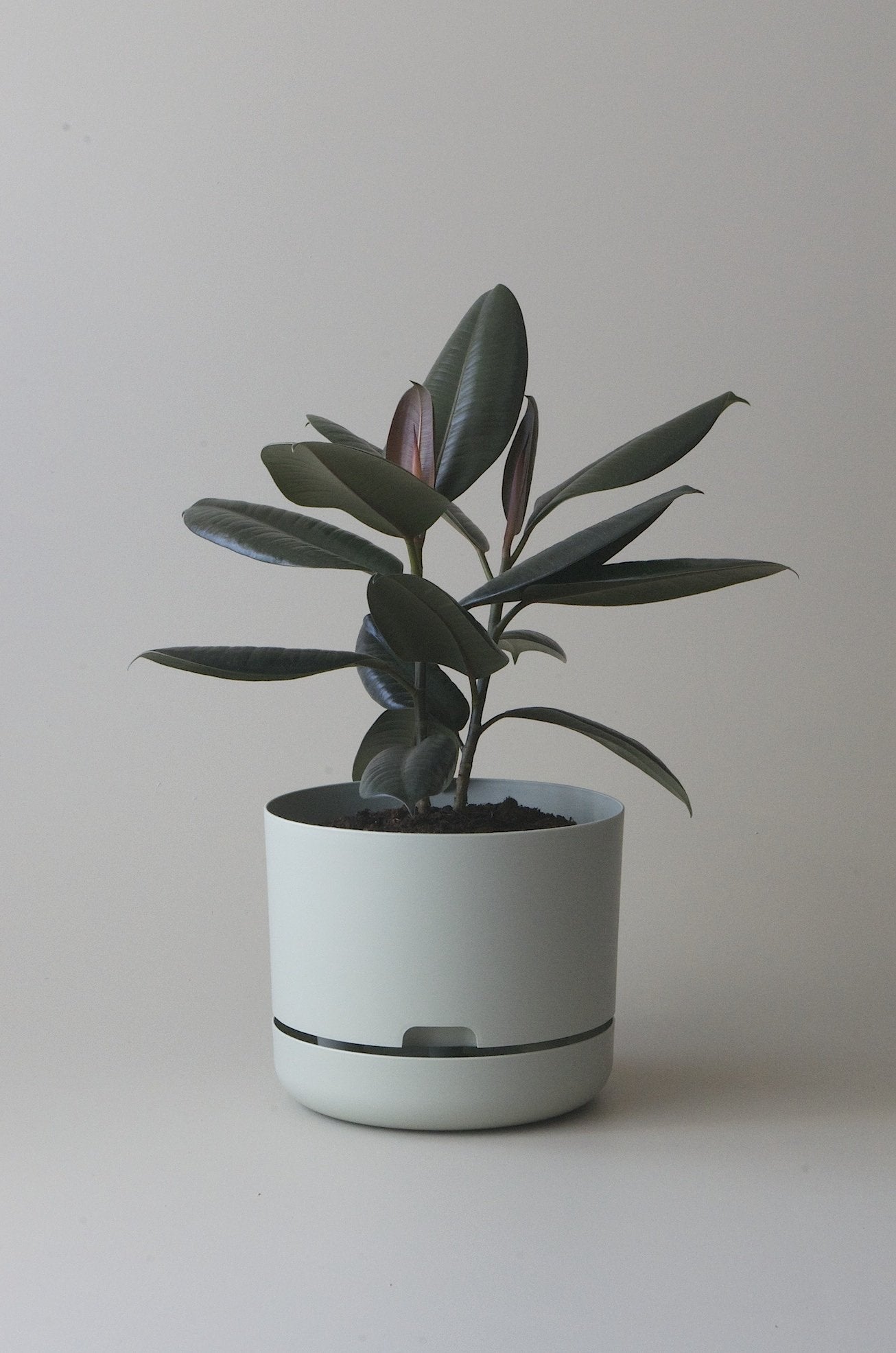 mr kitly - self watering pot - 375mm