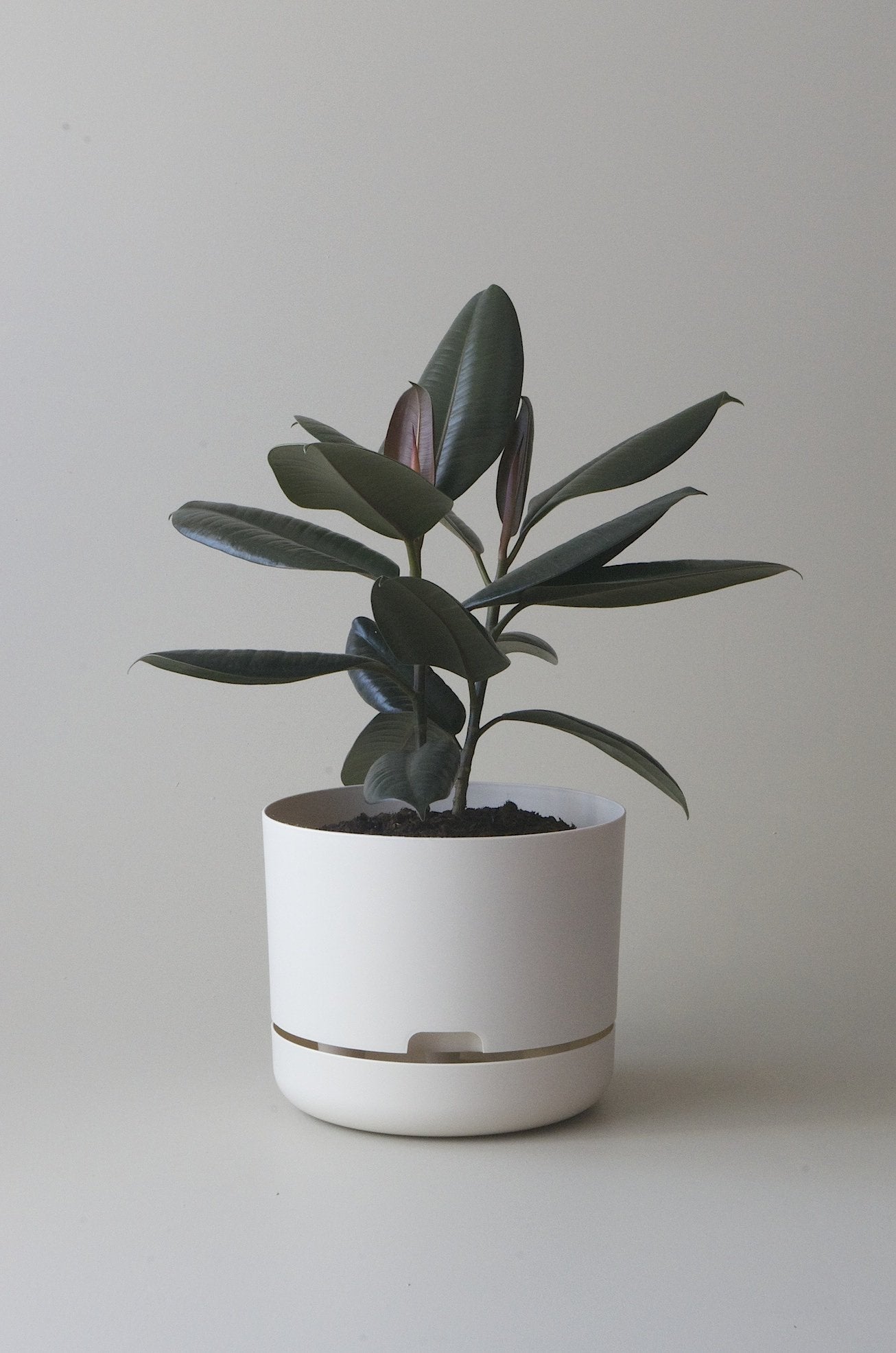 mr kitly - self watering pot - 375mm