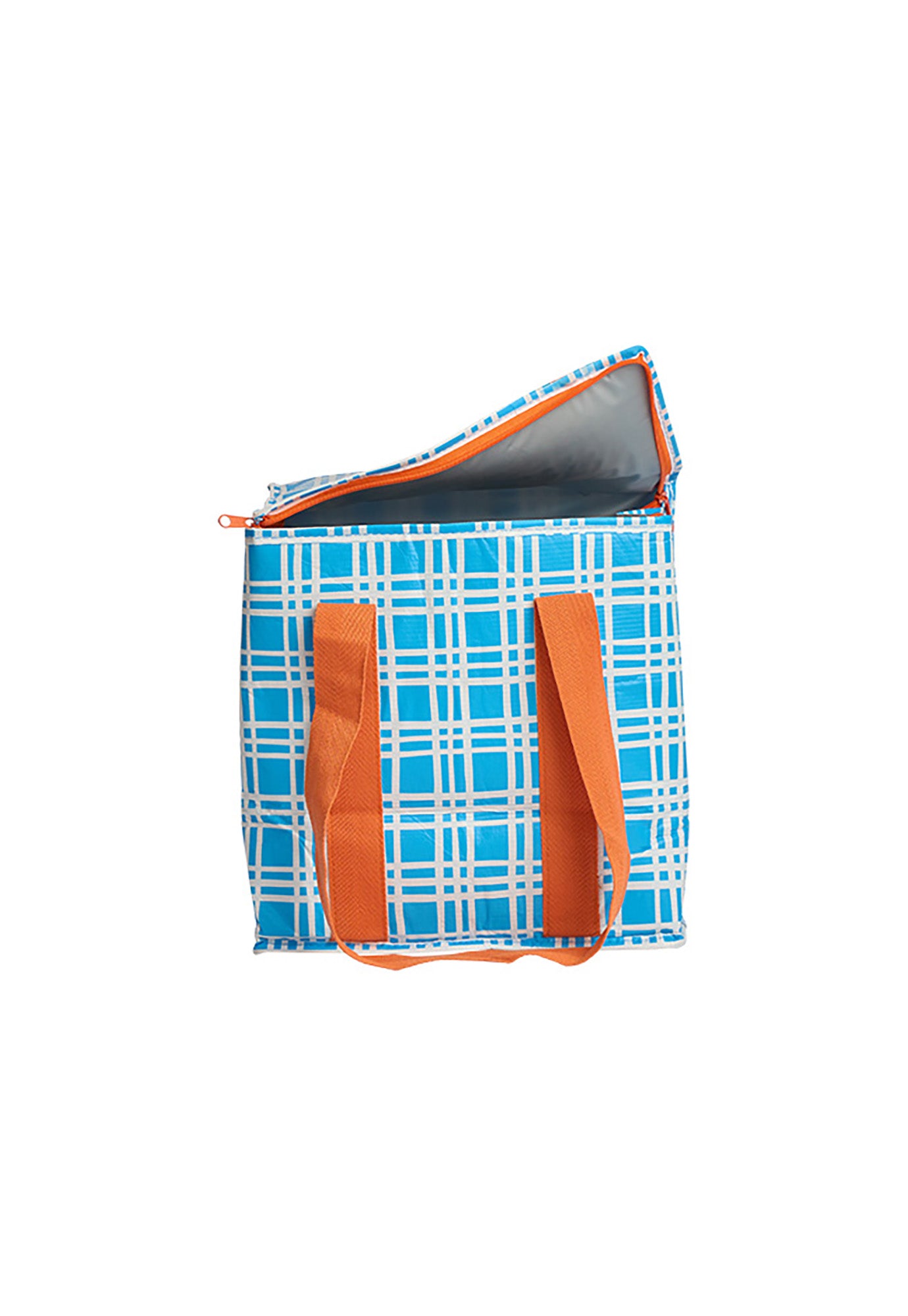 project ten - insulated tote