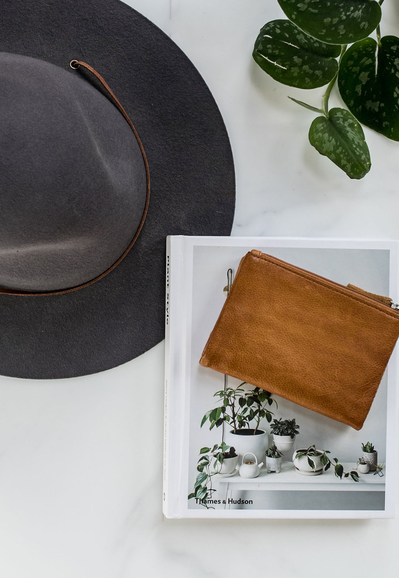 dusky robin - dusky purse